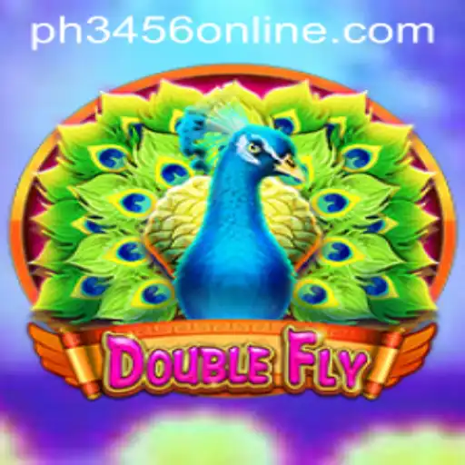 DoubleFly: The Exciting New Game You Need to Know About